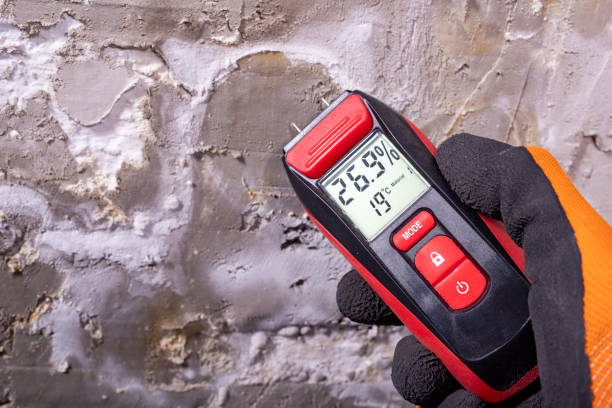 Best Local Mold Removal Service  in Byrnes Mill, MO