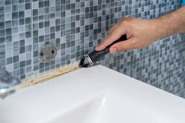 Best Office Mold Removal Services  in Byrnes Mill, MO